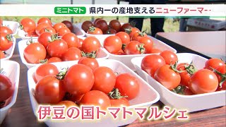 予備校講師からトマト農家へ県内一の産地を支える“ニューファーマー”は転職組がズラリ（静岡県）