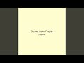 Sunset Neon Fragile