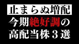 【利回り5%超】決算ラッシュで増配を発表した業績好調な高配当株