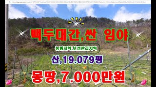 물번 039번, 청정지역,임야.19.079평 평당,3.600원 정도 몽땅,7.000만원에 급매매합니다 전기,도로,확실하고 임업인이나 농업인 산지관리사 지여 생활을 하실 분 최적지