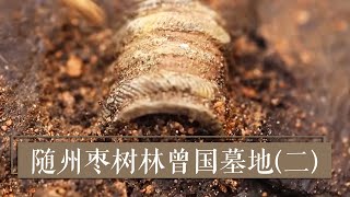 棺板上神秘的铜饰件 《2019考古进行时》第二季 随州枣树林曾国墓地（二）| 中华国宝