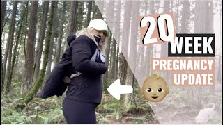 15 - 20 WEEK PREGNANCY UPDATE