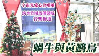 蝸牛與黃鸝鳥｜愛心合唱團＠淡水馬偕音樂佈道