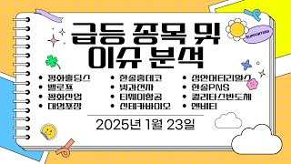 [주식 공부]1월 23일 - 오늘의 상한가 급등종목과 이유 : 평화홀딩스, 밸로프, 평화산업, 대영포장, 한솔홈데코, 빛과전자, 티웨이항공, 신테카바이오, 성안머티리얼스