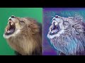 Transfusion - Style Transfer plugin for After Effects