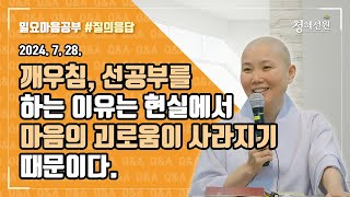 2024.07.28. [청혜선원] 일요공부ㅣ질의응답 시간 \