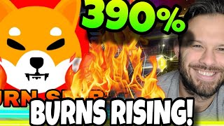 Shiba Inu Coin | 390% Increase In SHIB Burns Shows Us The Community Is Still Excited!