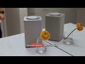 Alexa vs Google vs Siri: Which Smart Assistant ACTUALLY Wins in 2025?