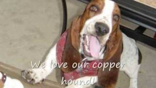 For Bassett hound Lovers... This is my Bassett Copper Hound