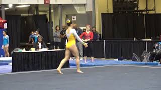 Delanie Harkness, Twistars USA | L10 Floor 2018 Michigan State Meet