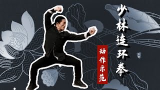 《少林连环拳Shaolin chain boxing》动作示范