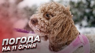 ❄️ Погода на 11 січня: Україну накрив собачий холод!