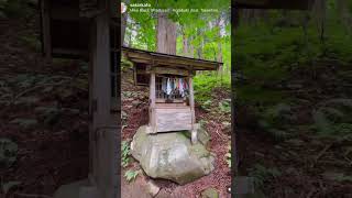 ⛩️遠隔参拝🙏長野県戸隠神社5社参り🌟宝光社🌟火之御子社🌟中社🌟奥社🌟九頭龍社🐉✨この後必ずいいことが起こります☺️🙏✨#神社　#龍神　#戸隠神社