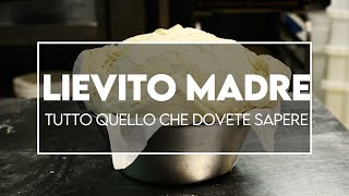 Lievito madre liquido e solido, tutto quello che dovete sapere se volete iniziare a farlo