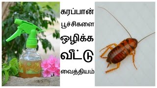 கரப்பான் பூச்சிகளை ஒழிக்க 2 அற்புதமான வீட்டு வைத்தியங்கள் | Get Rid Of Cockroach in Tamil