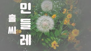 민들레홀씨ㅣ들꽃 ㅣ4k영상