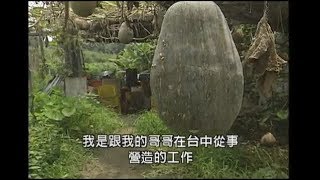 【有機農業】土地的告白｜找到健康的地種好菜 (我們的島 第42集 1999-09-20)