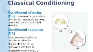 Learning classical conditioning