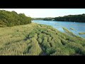 Salt marshes and beyond - Rewilding The Sea