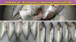 Aiyla easy cleaning and cutting  அயிலை மீன் சுத்தம் செய்வது எப்படி