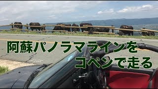 阿蘇パノラマラインをコペンで走る