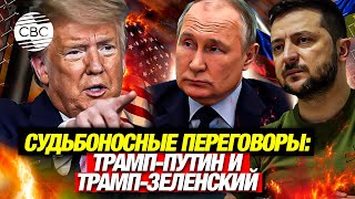 Трамп созвонился с Путиным и Зеленским. Назначено место первой встречи глав Кремля и Белого дома