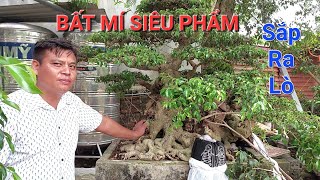 Anh MINH DƯỠNG bật mí về SIÊU PHẨM sắp ra lò * phom dáng , độ khó , độ già ... CHẤM HẾT ! *