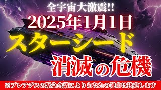 【全宇宙が大激震！】2025年スターシードは消滅するかもしれません！プレアデスの会議にてあなたの運命を協議中です！