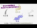 5分鐘認識類固醇︳藥效很強、副作用也很強？