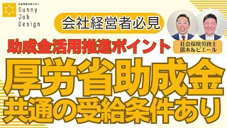 【助成金活用を推進するポイント】厚労省の助成金には共通の受給条件がある！受給条件をチェック