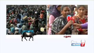 Jallikattu: We want permanent law, asks supporters at Madurai | News7 Tamil