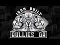 abkc 2018 atlanta bully marathon