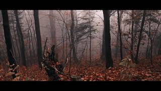 Gorce, Podhale, Jesień w Górach - Maniowy nad Zalewem Czorsztyńskim - Autumn Forest Trip - Cinematic