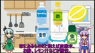 酸性？アルカリ性？これで分かる！実験（お家でできる実験その4）