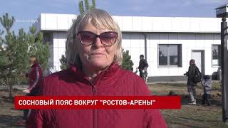 Депутаты Заксобрания Дона высадили сосны