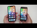 iPhone SE (2020) vs iPhone XR - Which Should You Choose