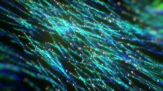 Binary Codes | Motion Graphics - Videohive template