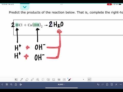 What are the products of neutralization?