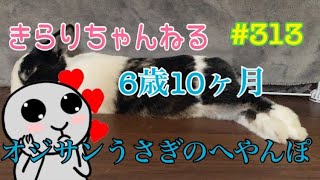 6歳10ヶ月。オジサンうさぎのへやんぽ