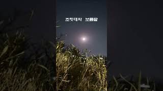 산죽, 조릿대 너머  보름달, Star Spangled Banner   Cooper Cannell