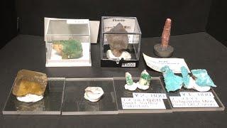 Minerals 番外044: ミネラルプチマルシェ in さいたま. ミュンヘンショー新着セール 2024.12.07. 入手標本.