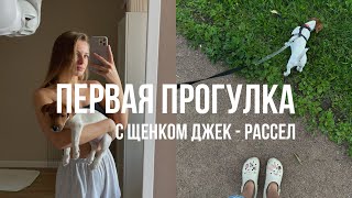 ПЕРВАЯ ПРОГУЛКА С ЩЕНКОМ ДЖЕК - РАССЕЛОМ ПОСЛЕ КАРАНТИНА