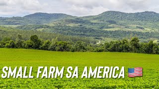 MY SMALL FARM SA AMERICA 🇺🇸🤣