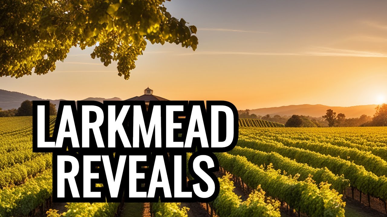 Inside Napa Valley's LARKMEAD VINEYARDS: Exclusive Interview - YouTube