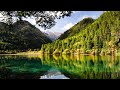 Soothing Stress Relief Music With Beautiful Nature 🍀 Stop Anxiety, Depression & Bad Vibes