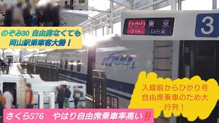 【2024年年末年始Uターン混雑開始❗️・14時台になり各列車混雑度増す!!】全車指定席のぞみ号発車後、自由席連結岡山始発ひかり号＆さくら号到着＆発車だが昨年より自由席の混雑が凄い事が実感⚠️