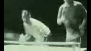 Bruce Lee-s Kung Fu Ping-Pong [from www metacafe c~