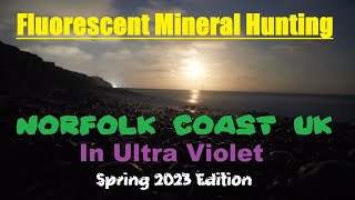 Fluorescent Mineral Hunting Norfolk Coast UK At Night, Spring 2023