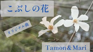 オリジナル曲「こぶしの花」／作詞　自由詩人　松尾多聞／作曲　編集　たつみまり／YAMAHAエレクトーンELS-02C／演奏　辰巳眞理