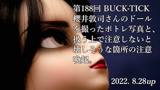 BUCK-TICK櫻井敦司さんのドールを扱う上での注意点と、作例。